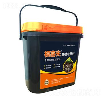 10kg�������Ä�-��ϲ��-������