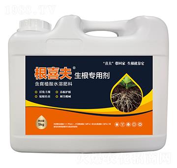 5kg�������Ä�-��ϲ��-������