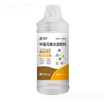 1000g����Ԫ��ˮ�ܷ���-С�����Ǵ���-������