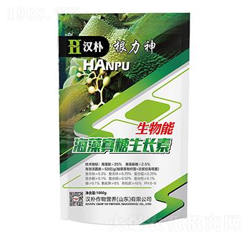 ����������L��-������-�h��