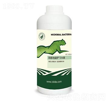 EM��-���}�����o-�G���_