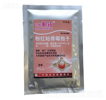 �ۼtճ��ù���ӿɝ��Էۄ�-�б����@-��������