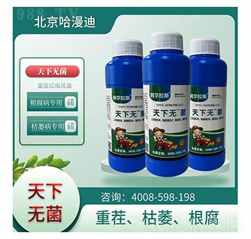 ���o��-�ο�ֲ��