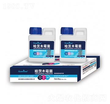 真菌細菌病害專用哈茨木霉菌-昆騰生物