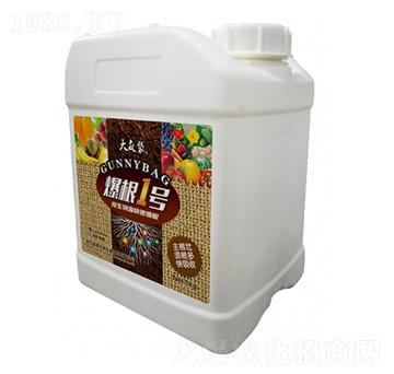 爆根1號-大麻袋-昆騰生物