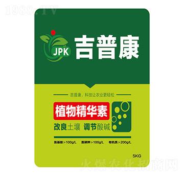 ֲ�ﾫ�A��-���տ�