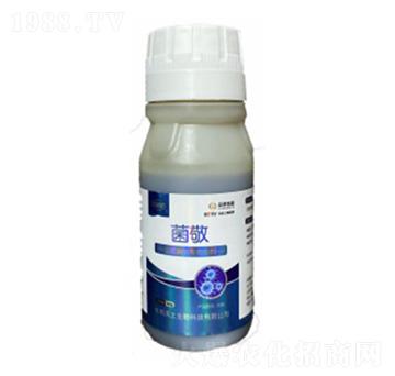 ��(x��)��������(zhu��n)������-����-�ډѴT�S-��������