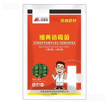 ���S�ù��-�߲��晎-������