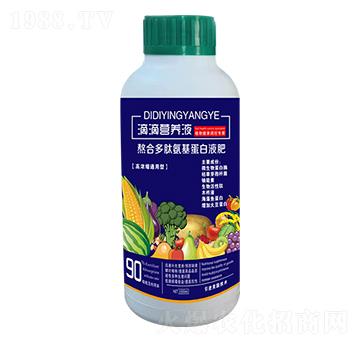 �εΠI�B(y��ng)Һ-��ʢ�_(d��)