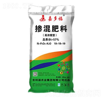 �ߝ���͓������19-19-19-�ζร-����Դ