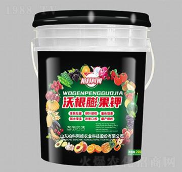 �ָ�����-�ؿư�ķ