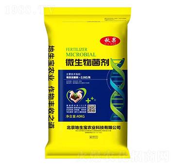 40kg΢�������-���-������