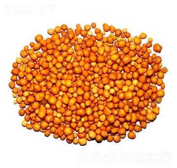 ����n�w����ጷ�15-7-13-ïʩ����