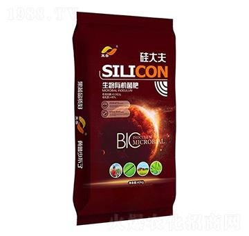 �����ЙC(j��)����-����-�����ʘI(y��)