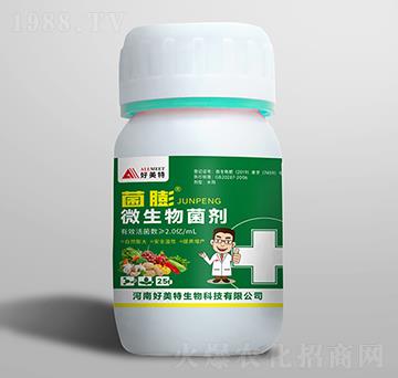 25g΢�������-����-������