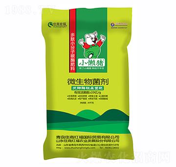 微生物菌劑-小懶豬-住商國際