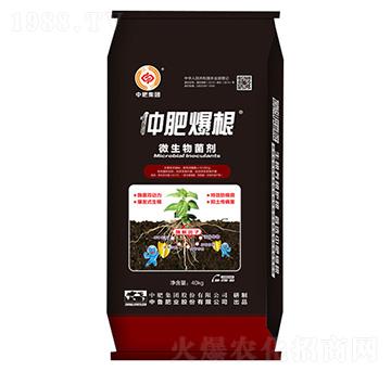 40kg΢�������-�зʱ���-�����ʘI(y��)