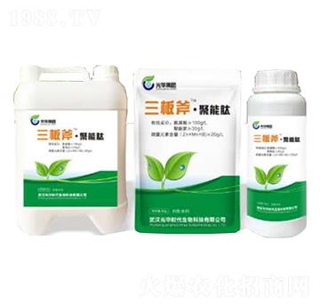 ���師������-���A�r��