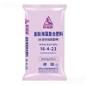 ���ĺ���ͺϷ���16-4-23-�Ƭ���-���m��