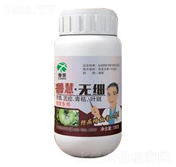 �o��-��������