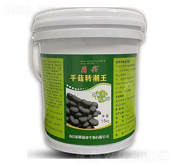 平菇轉(zhuǎn)潮王-菇興-科達(dá)生物