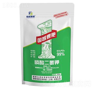 ��������-����Ҽ��