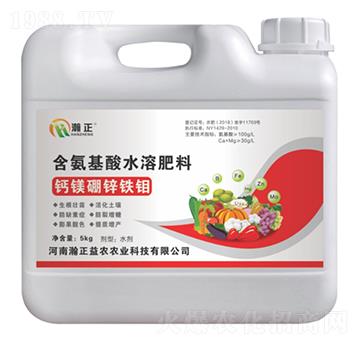 �}�V���\�F�f-������r