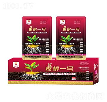 ����Ԫ��ˮ�ܷ���-����һ̖-ؐ����