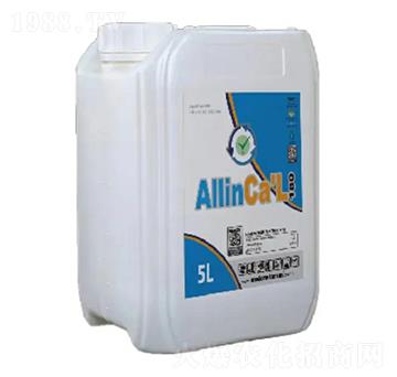 �����_�����z�}-�����_