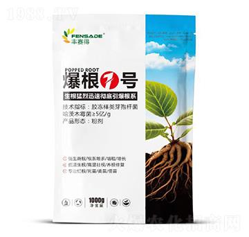 ����1̖(h��o)-�Sِ��