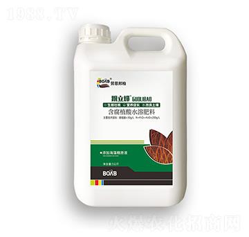 ����ֲ��ˮ�ܷ���-������-�ڶ����