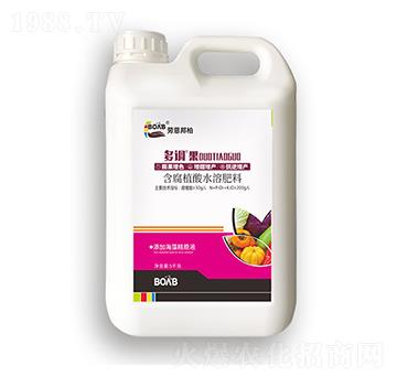 ���{������ֲ��ˮ�ܷ���-�ڶ����