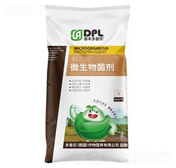 ���Ę�΢�������-���՘�