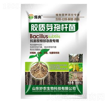 �z�|ѿ�ߗU��-����-���r(n��ng)����