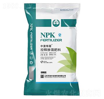 ��ጓ������28-6-8-���Y�A��-����S