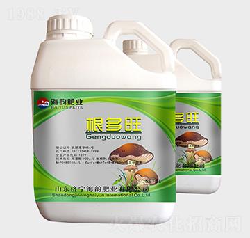 �������_ʩ��-�������