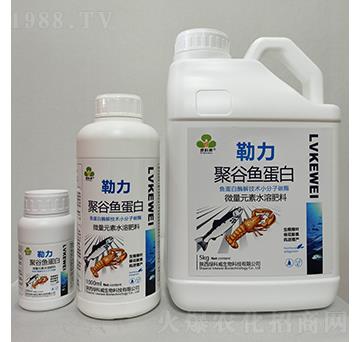 �����۹��~����-�G����