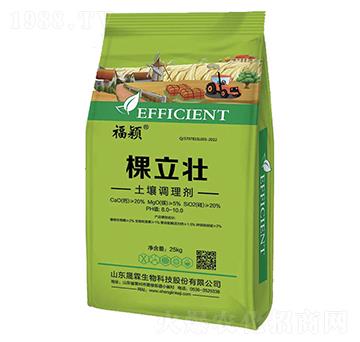 �����������{(di��o)�턩-��������