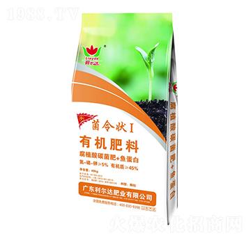 �ЙC����-�����I-�����_�ʘI(y��)