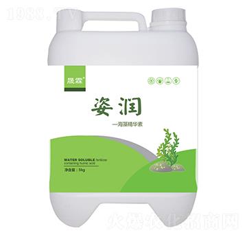 �˝�(r��n)���徫�A��-��������