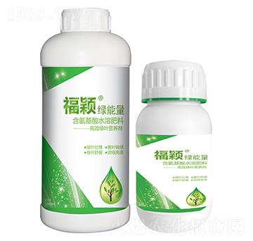 ���f�G����-��������