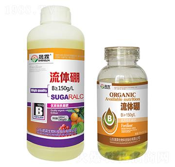 ���w��-��������