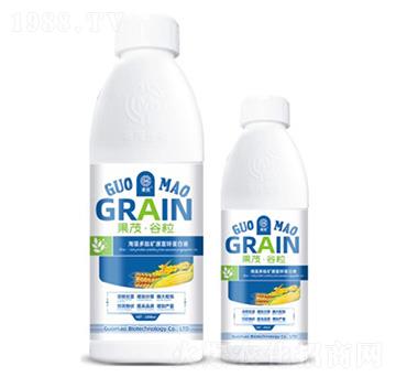 ��ï������-��ï����