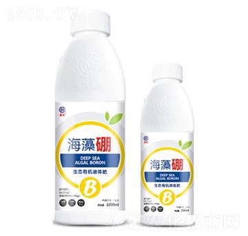 ������-��ï����