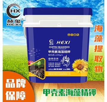 �ך��غ��徫�-�խt