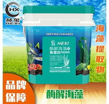 ø�⺣���~(y��)����-�խt