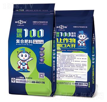 �ǻ�100�ͺϷ���18