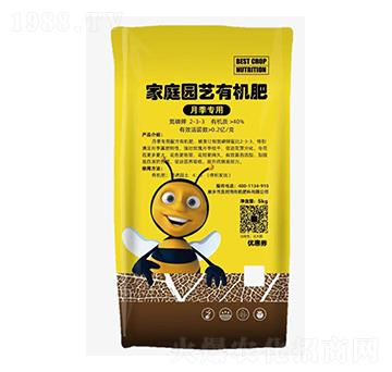 �¼����ü�ͥ�@ˇ�ЙC(j��)��-���r(sh��)��