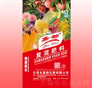 �ͻ����-�ζ�