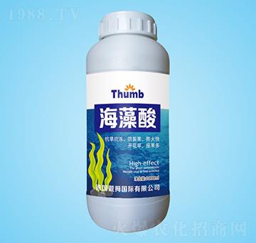 1000ml������-����r(n��ng)�I(y��)